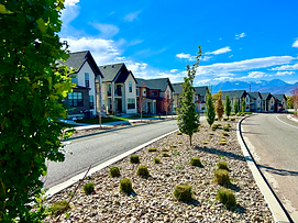 HOA landscape maintenance Utah